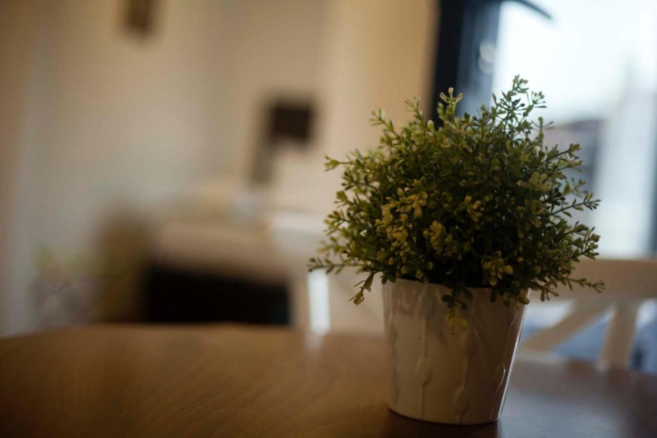 Galata Cicek Suites Istanboel Buitenkant foto